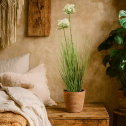 Wyld Haus 90Cm White Agapanthus Artificial Flower (Pot Not Included) - thumbnail 1