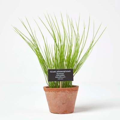 Homescapes Artificial Green Handcrafted Chive Plant In Decorative Pot, 28 X 10 Cm - image 1