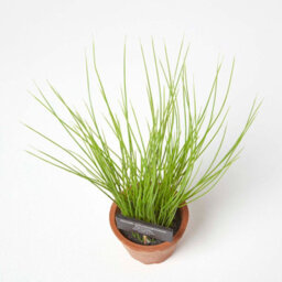Homescapes Artificial Green Handcrafted Chive Plant In Decorative Pot, 28 X 10 Cm - thumbnail 2