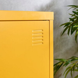MMT Funiture Designs Yellow Metal Locker Cabinet, 2 Shelves, 1 Door For Home Or Office - thumbnail 5