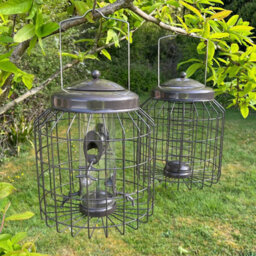 Selections Heavy Duty Squirrel Proof Hanging Bird Seed & Fatball Feeders (Set Of 2)