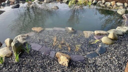 Stone Warehouse Large Slate Paddlestones 100-200mm Half Crate 500Kg Borders, Rockeries, Gabion Basket Filling, Ponds - thumbnail 5