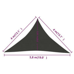Berkfield Sunshade Sail 160 G/m2 Anthracite 4X4X5.8 M Hdpe - thumbnail 6