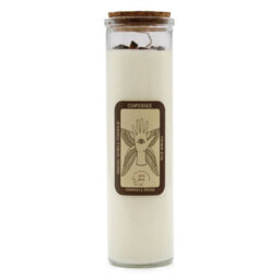 Confidence Boosting Soy Candle With Tiger Eye - thumbnail 1
