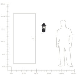 Beliani Matte Black Outdoor Wall Light Sconce - Glass And Iron, Weather-Resistant For Patio And Garden - thumbnail 6
