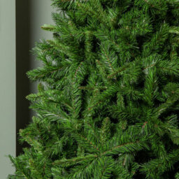 Samuel Alexander 6Ft (1.8M) Luxury Kateson Fir Artificial Green Christmas Tree With 816 Tips - thumbnail 4