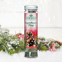 Premier Decorations Limited Scentsicles 6 Scented Christmas Tree Ornaments Hanging Sticks Snowberry Pine - thumbnail 1
