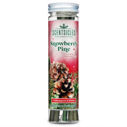 Premier Decorations Limited Scentsicles 6 Scented Christmas Tree Ornaments Hanging Sticks Snowberry Pine - thumbnail 2