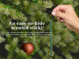Premier Decorations Limited Scentsicles 6 Scented Christmas Tree Ornaments Hanging Sticks Snowberry Pine - thumbnail 9