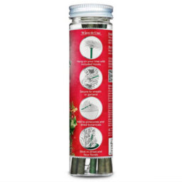 Premier Decorations Limited Scentsicles 6 Scented Christmas Tree Ornaments Hanging Sticks Snowberry Pine - thumbnail 4