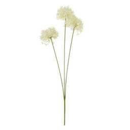 Wyld Haus Set Of 3 Cream Three-Head Allium Artificial Flower Sprays, 640mm