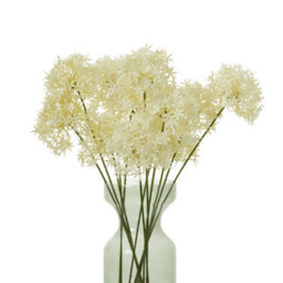 Wyld Haus Set Of 3 Cream Three-Head Allium Artificial Flower Sprays, 640mm - thumbnail 3