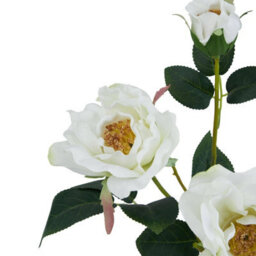Hill Interiors The Natural Garden Collection Tea Rose Artificial Flower White (One Size) - thumbnail 2