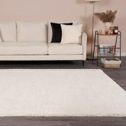 OHS Fluffy Teddy Rug Soft Rugs Bedroom Carpet Area Mat, Cream - 120 X 170Cm