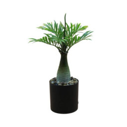 Amorly Led Palm Tree Light Potted Plant With Warm Light Decor String Light Usb Power Desk Lamp Suitable For Coffee Shops Restaurants - thumbnail 6