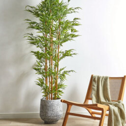 Wyld And Coco Zennest Lifelike Bamboo Tree 220 Cm Green And Black - Indoor Artificial Plant - thumbnail 2