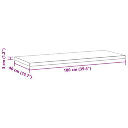 Berkfield Wall Shelves 2 Pcs 100X40X3 Cm Black Stainless Steel - thumbnail 9
