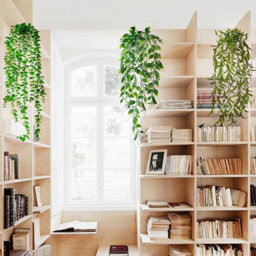 2 Pack 2 - Piece Artificial Hanging Plants, Faux Indoor Wall Decoration Plants, Small Light Green Tea Leaves With White Spray - thumbnail 6