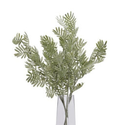 Wyld Haus Set Of 3 Silver Wattle Leaf Artificial Flower Stems - thumbnail 2