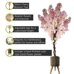 Pegdev - Pdl - 150Cm Artificial Pink Cherry Blossom Tree With 40Cm Zandi Flowers Fibreglass Planter Rustic Indoor Plant Pot - thumbnail 2