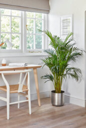 Ivyline Indoor Chelsea Pewter Planter H26Cm D25Cm