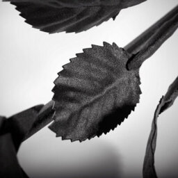 Novecrafto World Of Nature Handcrafted Iron Rose For Anniversary - Black 100% Forged Iron - thumbnail 4