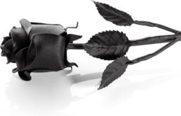 Novecrafto World Of Nature Handcrafted Iron Rose For Anniversary - Black 100% Forged Iron - thumbnail 5