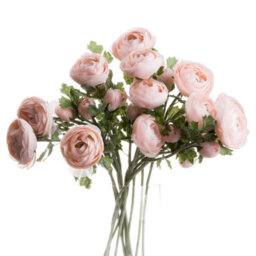 Wyld Haus Set Of 3 Pale Pink Ranunculus Artificial Flower Stems - thumbnail 2