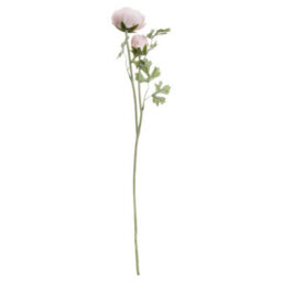 Wyld Haus Set Of 3 Pale Pink Ranunculus Artificial Flower Stems - thumbnail 1