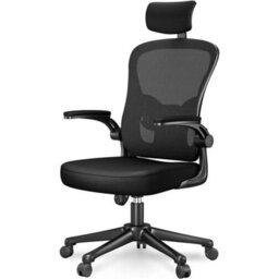 Lightweight Ergonomic Office Chair With Flip Up Armrests - thumbnail 1