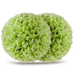 Gainoom 2 Pcs Green Artificial Plant Topiary Balls Faux Boxwood 28Cm Balls - thumbnail 9