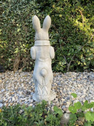 Stone Cast Peter Rabbit Garden Sculpture - thumbnail 5