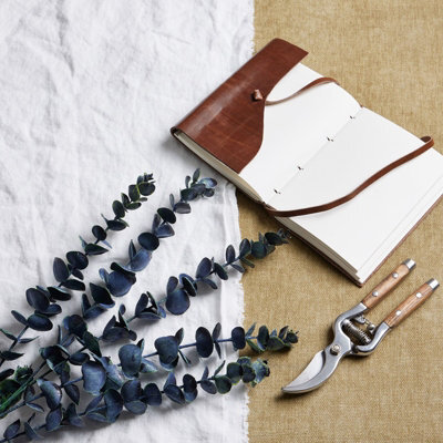 Large                  Blue                  Eucalyptus                  Stem - image 1
