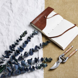 Large                  Blue                  Eucalyptus                  Stem - thumbnail 1