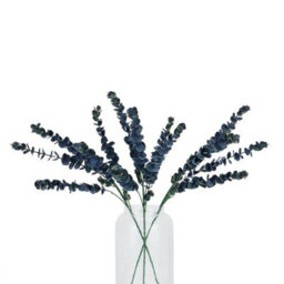 Large                  Blue                  Eucalyptus                  Stem - thumbnail 5