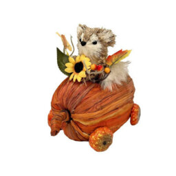 Squirrel In A Pumpkin Car 15Cm - Orange - thumbnail 1