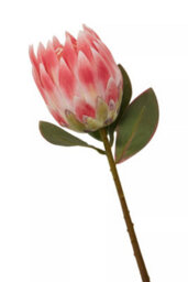 Orsina Fiori 62Cm Protea Stem Pink Flower Artificial Plant Foliage - thumbnail 5