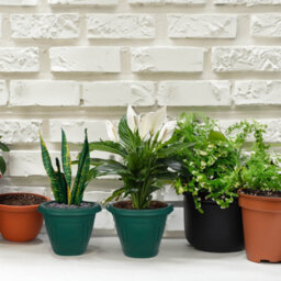 Flower Pot Venetian Round Planter Forest Green Plant Garden Patio Basket 24Cm - thumbnail 2
