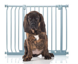 Bettacare Elite Pressure Dog Gate, 89Cm - 98Cm, Matt Grey, Pressure Fit Pet Gate For Dog And Puppy - thumbnail 1