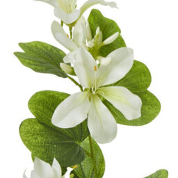 Hill Interiors Bauhinia Orchid Spray Artificial Flower Cream/green (One Size) - thumbnail 3