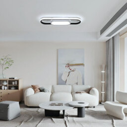 Pheashine Sleek Oval Ceiling Light 30W 6500K Cool White 48Cm Aluminum Flush Mount - thumbnail 5