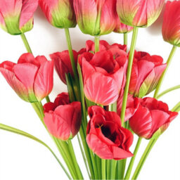 Leaf Pack Of 6 X 80Cm Artificial Tulip Red Stem - thumbnail 5