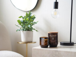 Woodwick Candle Cherry Blossom & Vanilla Renew Medium - thumbnail 3