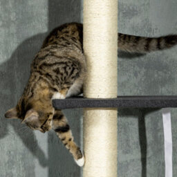 Pawhut 5 Tier Cat Climbing Tower, 240-270Cm Height Adjustable, Dark Grey - thumbnail 8