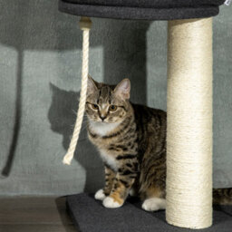 Pawhut 5 Tier Cat Climbing Tower, 240-270Cm Height Adjustable, Dark Grey - thumbnail 9
