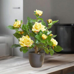 Smart Garden Marco Paul Artificial Potted Rose Plant 40Cm - Yellow - thumbnail 9