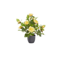 Smart Garden Marco Paul Artificial Potted Rose Plant 40Cm - Yellow - thumbnail 3