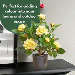 Smart Garden Marco Paul Artificial Potted Rose Plant 40Cm - Yellow - thumbnail 5