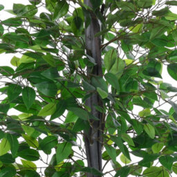 Outsunny 145Cm Artificial Banyan Plant Faux Decor Tree W/ Pot Indoor - thumbnail 9