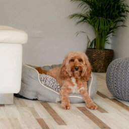 All Pond Solutions All Pet Solutions Alfie - Brown Soft Dog Bed - Size M/l - thumbnail 2